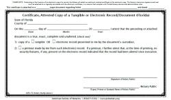 FLORIDA Certificate, Attested Copy of a Tangible or Electronic Record/Document